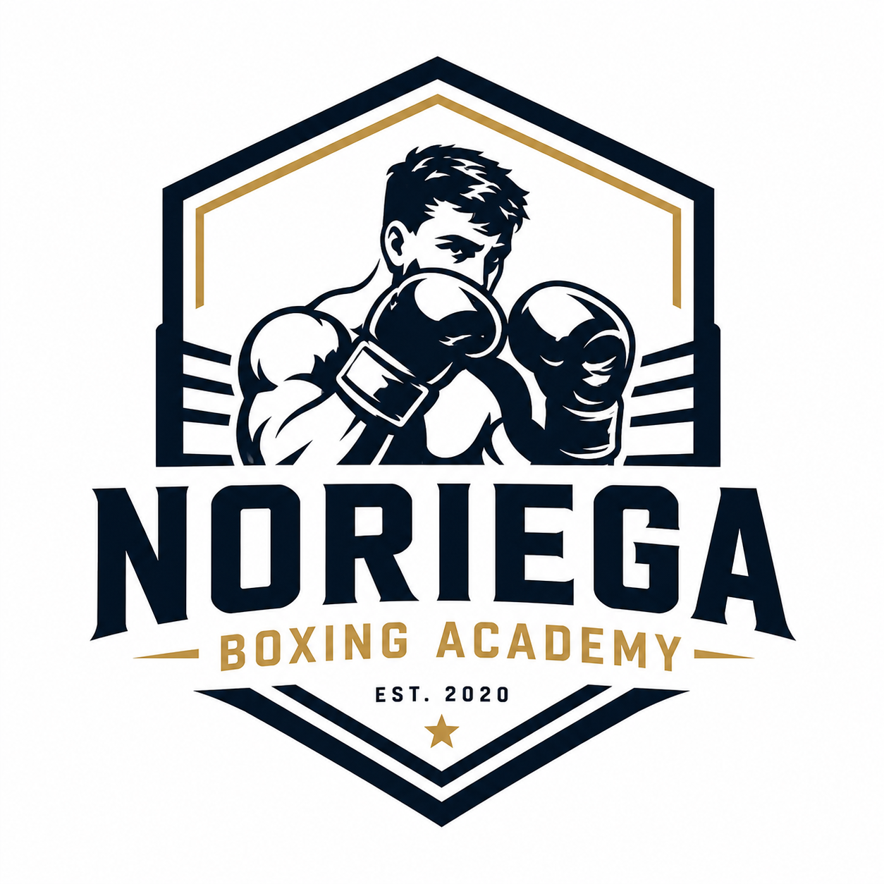 Noriega Boxing Academy